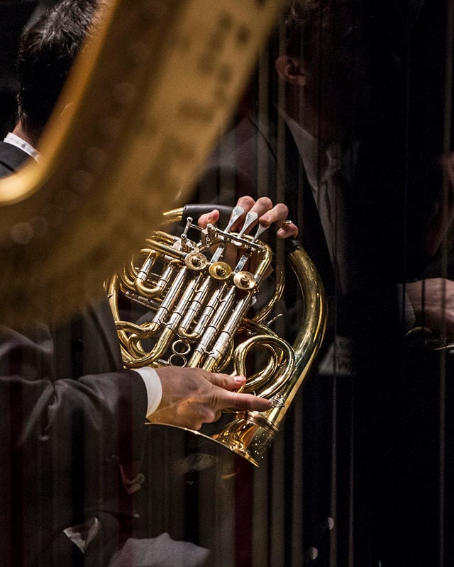 Hender som holder horn