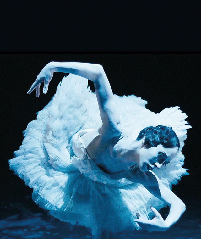 Fra Cygne
