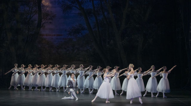 Ballettdansere på scenen i Giselle, med hvite tutuer og mørkt skogsbakteppe.
