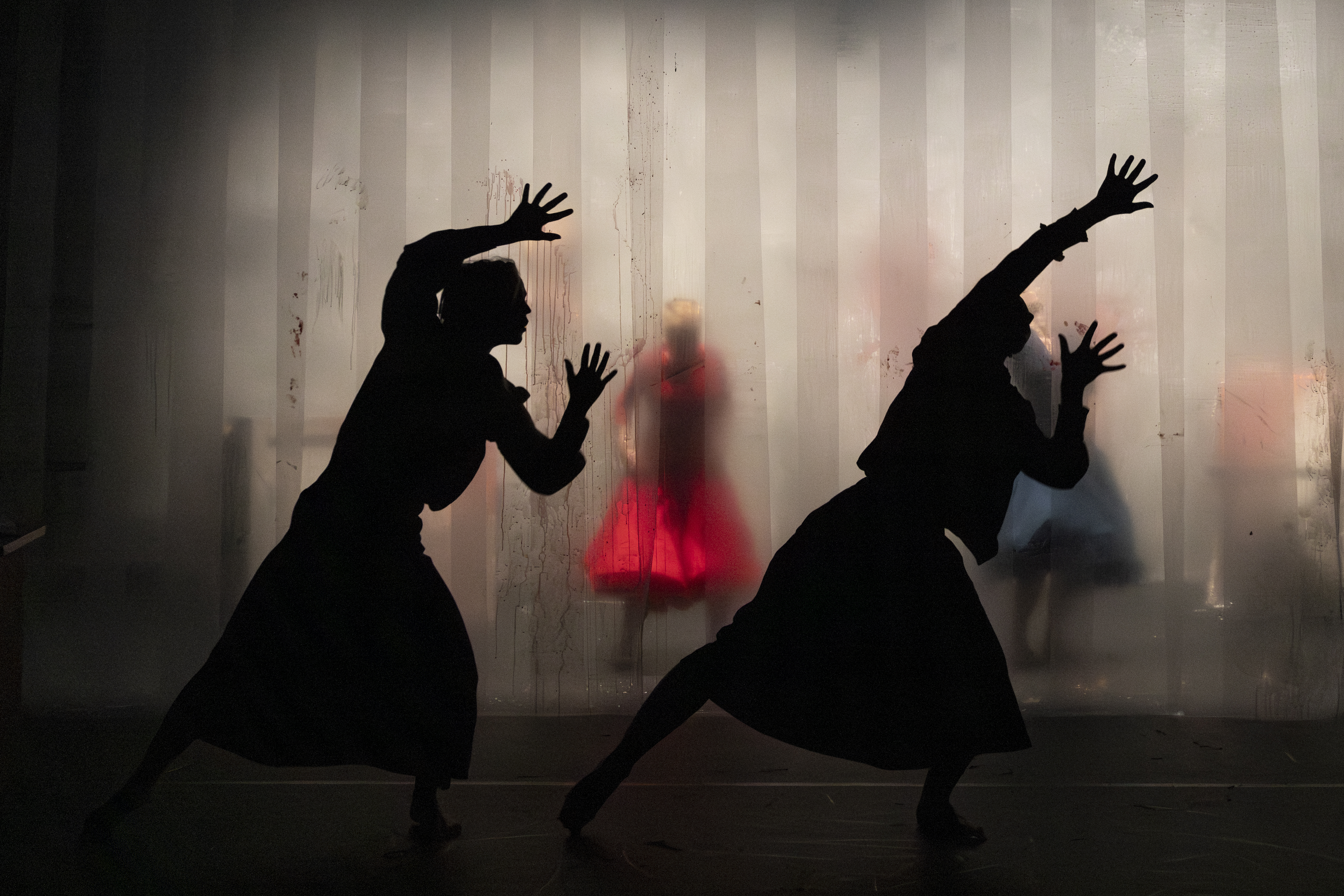 To silhuetter i dramatiske positurer foran en lys bakgrunn, med to figurer i farger synlige bak et slør."